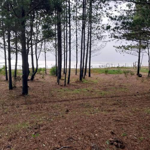 Un paisaje natural cerca de la casa vacacional