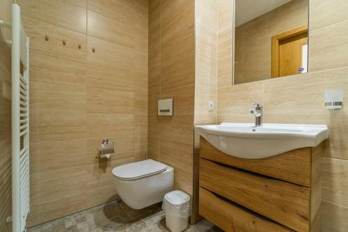 a bathroom with a sink and a toilet at Winifera Penzion in Pavlov