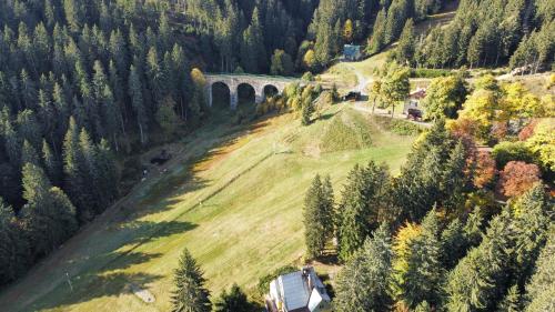 an aerial view of a bridge on a hill with trees at Apartmány u Sjezdovky in Pernink