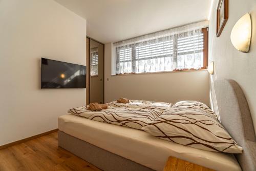 a bedroom with a bed with a television and a window at Winifera Penzion in Pavlov