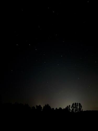 a starry night with trees in the foreground at Strandby 1847 B&B in Nykøbing Falster