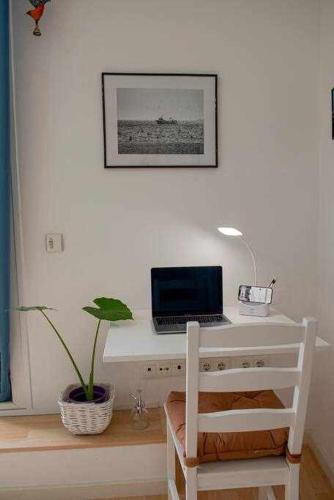 a desk with a laptop and a plant on it at Céntrico apartamento y parking a 200m de la playa in Palamós