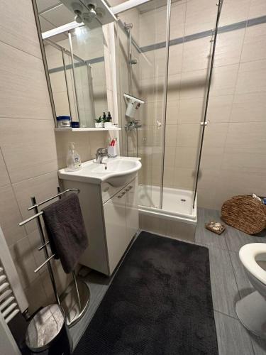 a bathroom with a sink and a shower and a toilet at Studio apartman Luce self CHECK IN in Osijek