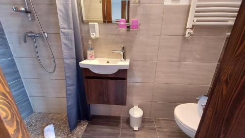 a bathroom with a sink and a shower and a toilet at Titi Boutique Apartmanok in Bükfürdő