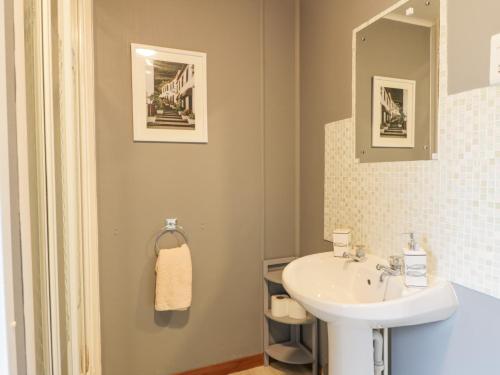 uma casa de banho com um lavatório e um espelho em Roe Deer Lodge em Newton Stewart