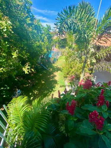 a view of a garden with flowers and trees at Casa De Praia 7 quartos Em Aguas Belas, CE in Cascavel