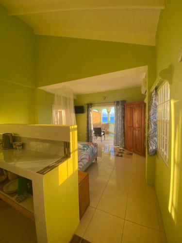 a kitchen and living room with green walls at Greenhouse on the Hill, Sea View Studio Apartment in Laborie
