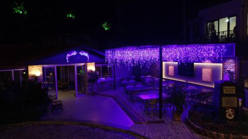 Gallery image of Dolphin Apart Hotel in Sarigerme