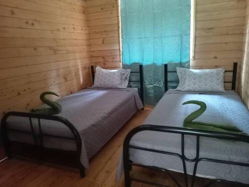 two twin beds in a room with wooden walls at Cabaña Paraíso Verde in Providencia