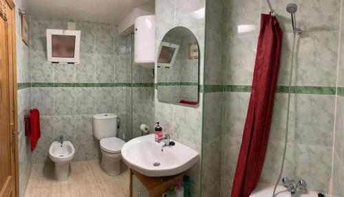 La salle de bains est pourvue d'un lavabo, de toilettes et d'une douche. dans l'établissement Miniloft en la playa, à Alicante