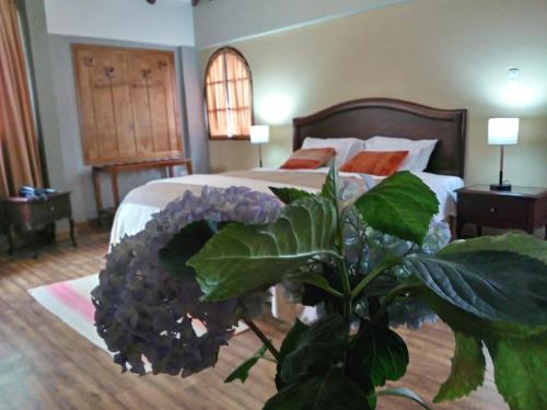 Ένα ή περισσότερα κρεβάτια σε δωμάτιο στο Hotel Pisonay Pueblo