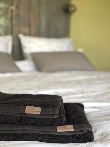 two towels sitting on top of a bed at The Cat and The Owl B&B in Groenlo