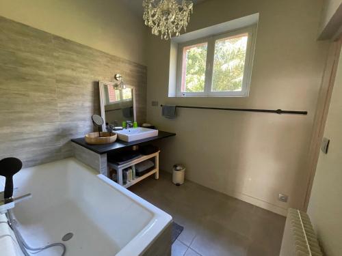 uma casa de banho com uma banheira, um lavatório e um espelho. em Suite près de Chambord em Saint Laurent Nouan