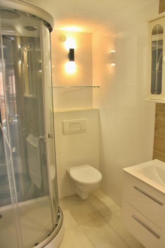 a bathroom with a toilet and a shower and a sink at Freundliches Appartement - Bitte Angaben zum Gastgeber lesen in Wehrheim