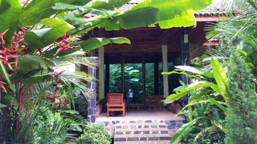 a house in the middle of a forest with plants at Hotel Khaosok and Spa in Khao Sok