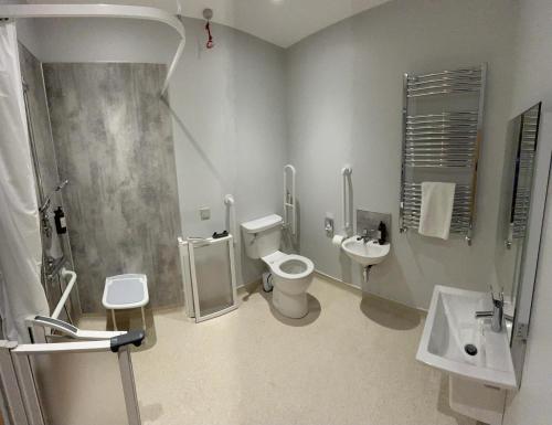 a bathroom with a toilet and a sink at The Banks Restaurant and Accommodation in Strabane