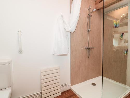 a bathroom with a shower and a toilet at Poppy Cottage in Cowbridge
