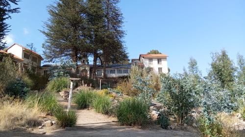 科帕卡巴納的住宿－Hostal La Chacarilla，鲜花盛开的花园,后方的房子