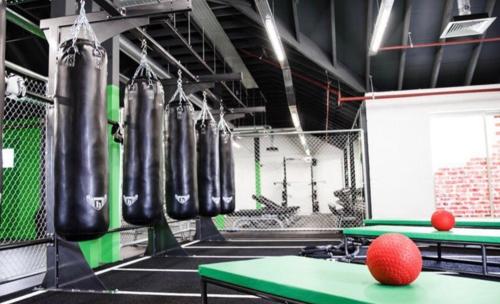 a gym with two ping pong balls on a table at THE ONE WITH THE PEACEFUL VIBES in London