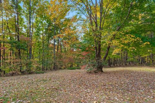 a tree in the middle of a field of leaves at Relax at Saddleback in Mill Spring