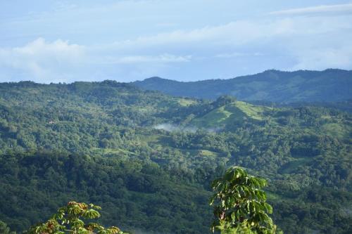 con vistas a un frondoso valle verde con árboles en Brisa de la montaña:Cabaña con vista al bosque de Platanillo y al mar, en Platanillo