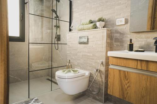 a bathroom with a toilet and a shower and a sink at Villa des deux oliviers Djerba in Djerba