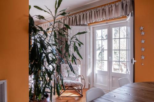 レイリアにあるMagnolia B&Bの椅子と窓のある部屋の植物