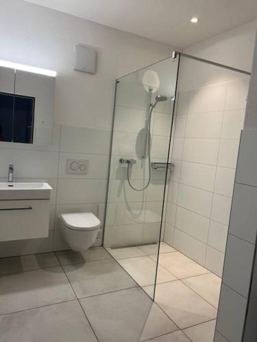 a bathroom with a glass shower and a toilet at Traumhafte Wohnung am Bodensee in Staad