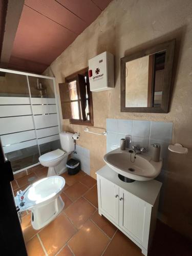 a bathroom with a sink and a toilet at Casa Rural La Peralosa in Piedrabuena