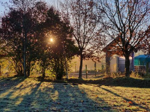 eine Gruppe von Bäumen auf einem Feld mit der Sonne hinter ihnen in der Unterkunft Ferienwohnungen Sund Ostfriesland in Großefehn 