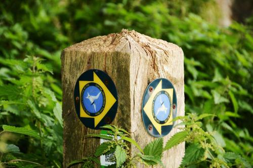 a wooden post with a blue and yellow clock on it at Little Sandy House, Rhosneigr in Rhosneigr