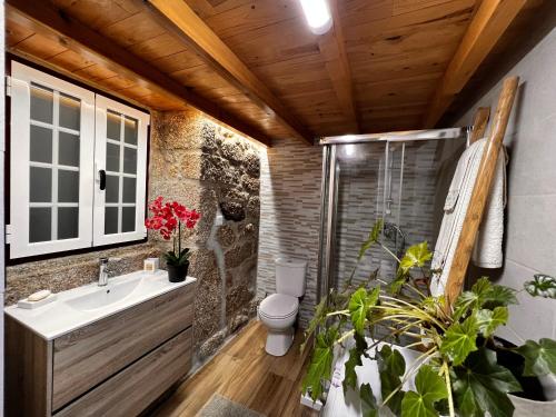een badkamer met een toilet, een douche en een wastafel bij Casa da Vila - Apartamento duplex in Alpedrinha