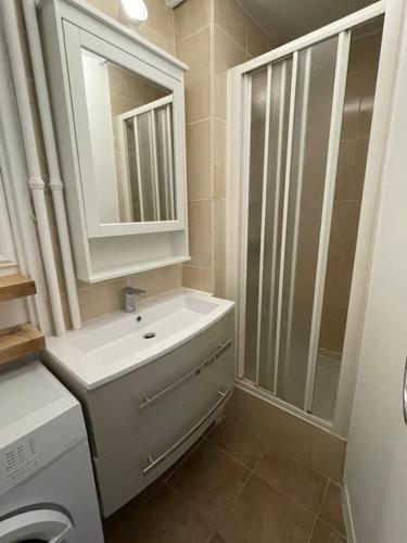 a bathroom with a sink and a washing machine at Super appartement à vitry-sur-seine in Vitry-sur-Seine