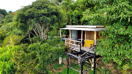 a small house in the middle of a forest at Hakuna Matata Glamping timon in Salento