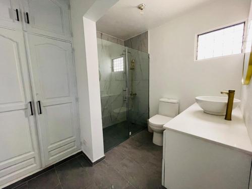 La salle de bains est pourvue de toilettes, d'un lavabo et d'une douche. dans l'établissement Santiago Paradise Haven, à Santiago de los Caballeros