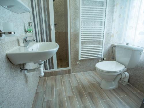 a bathroom with a toilet and a sink at Pension Centrum in Ricany