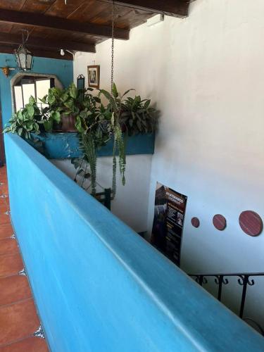 a blue counter with potted plants on a wall at Cristales de Antigua Hotel Cristal in Antigua Guatemala