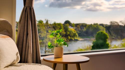 a potted plant sitting on a table in front of a window at Experience The Magic of Riverside Living - 5 beds in Hamilton