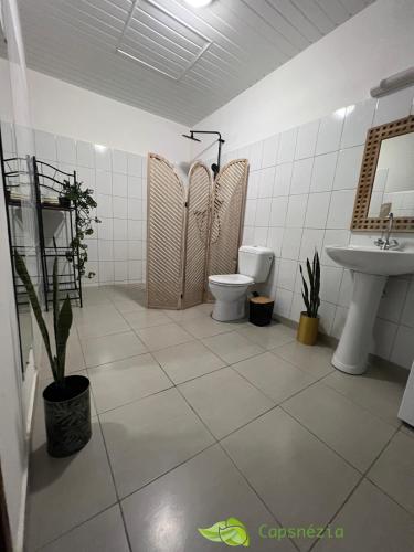 ein Badezimmer mit Toilette und Waschbecken in der Unterkunft Kasentof in Cayenne