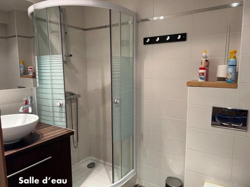 a bathroom with a glass shower and a sink at Appartement Valloire, 1 pièce, 4 personnes - FR-1-263-535 in Valloire