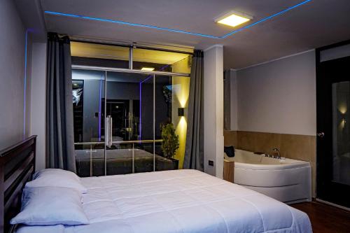 万卡约Hotel Prado的一间带床、浴缸和水槽的卧室