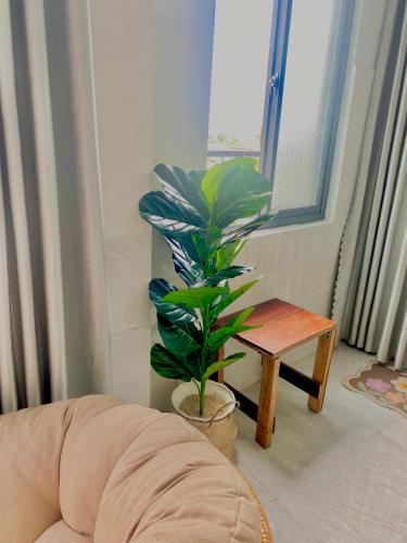 a living room with a plant and a table at Homestay Tuyết Trinh in Nha Trang