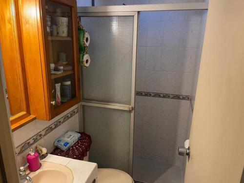 a bathroom with a shower and a toilet and a sink at comfortable and spacious house with garage in Amatitlán