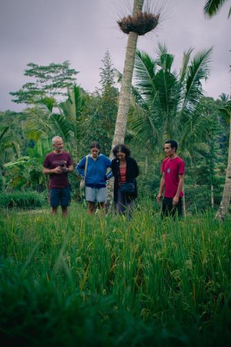 a group of people standing in a field with palm trees at Tastura Homestay in Praya