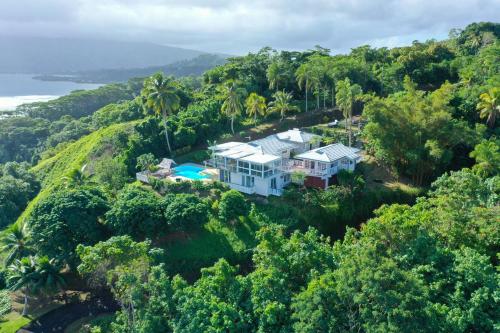Vairao的住宿－Toahotu estate one of a kind villa in Tahiti Iti pool and view - 15 pers，树木茂密的山丘上房屋的空中景观
