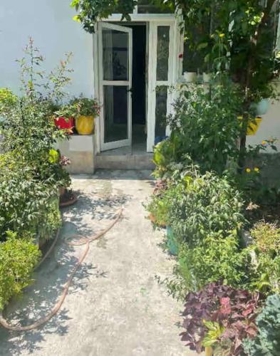 Mery’s Location - Image 3