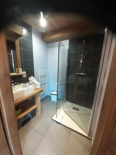 a bathroom with a glass shower and a sink at Les Adrets in Gérardmer