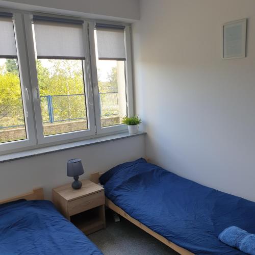 a bedroom with two beds and two windows at Noclegi - Pokoje - STEMPO in Skarżysko-Kamienna