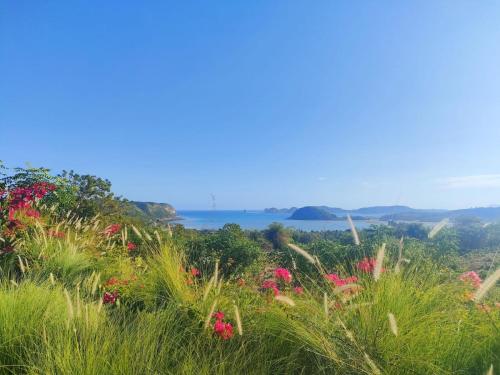 a field of flowers with the ocean in the background at Lobster Bay Lombok in Awang