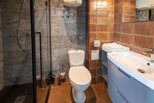 チェンストホヴァにあるApartamenty Komfortのバスルーム(トイレ、洗面台、シャワー付)